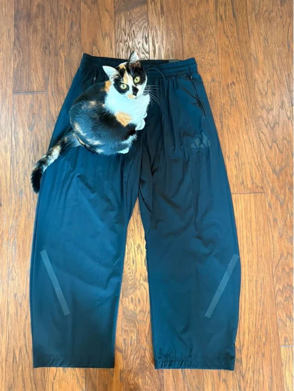 Women’s Adidas track pants. Large. Cat not included :)